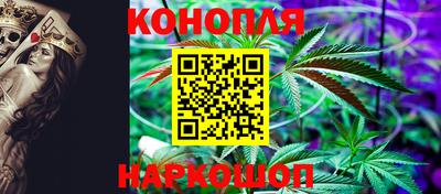 эйфоретик Славгород