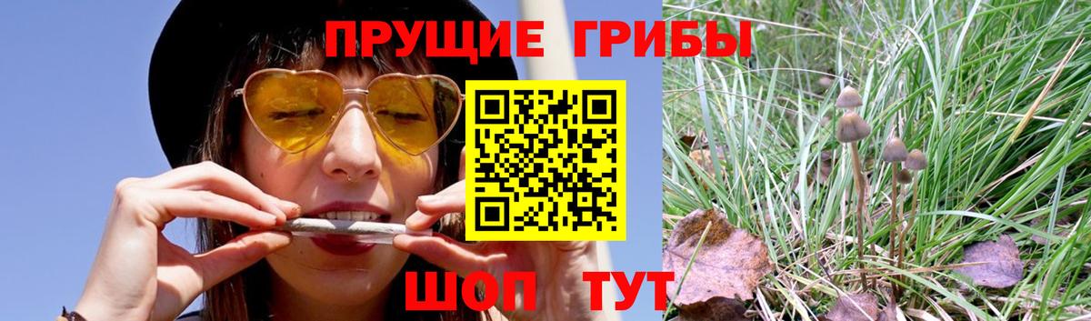 Галлюциногенные грибы мухоморы Печора