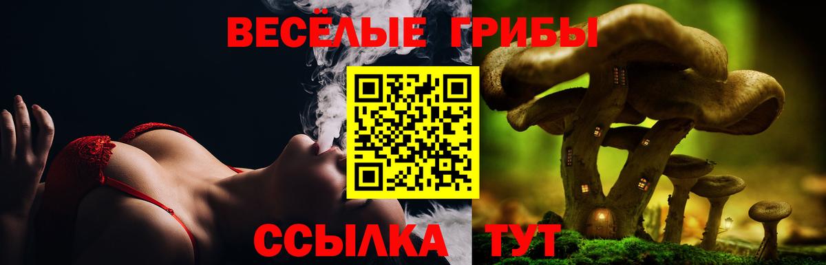 Галлюциногенные грибы Psilocybine cubensis  Вход с VPN  Печора 